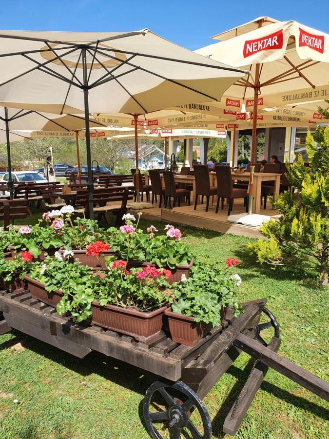Guest House Mines Vrdnik Bagian luar foto